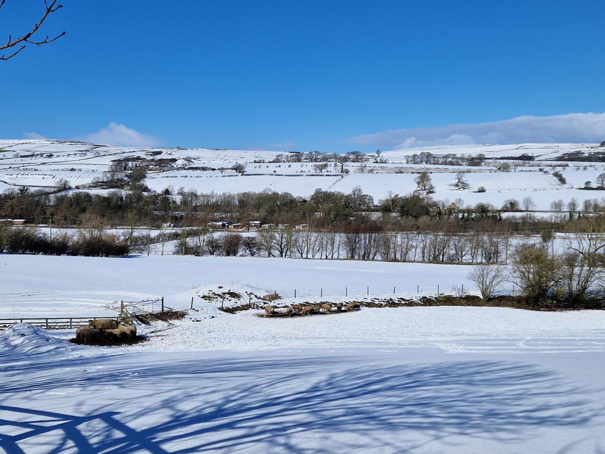The Den, Coves House Villa Wolsingham Exterior photo