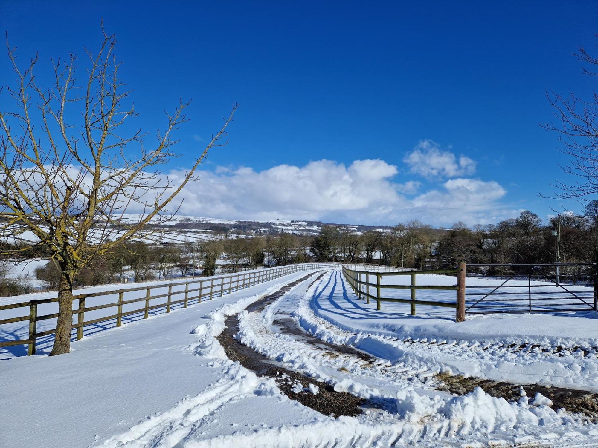 The Den, Coves House Villa Wolsingham Exterior photo